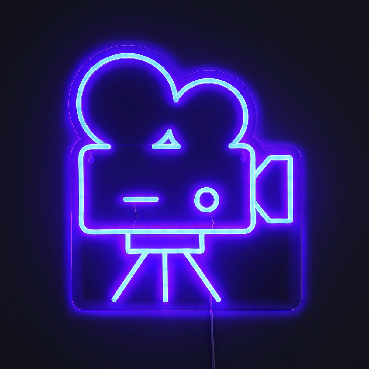 Camera Old School Neon Vägglampa-Lampconcept.se