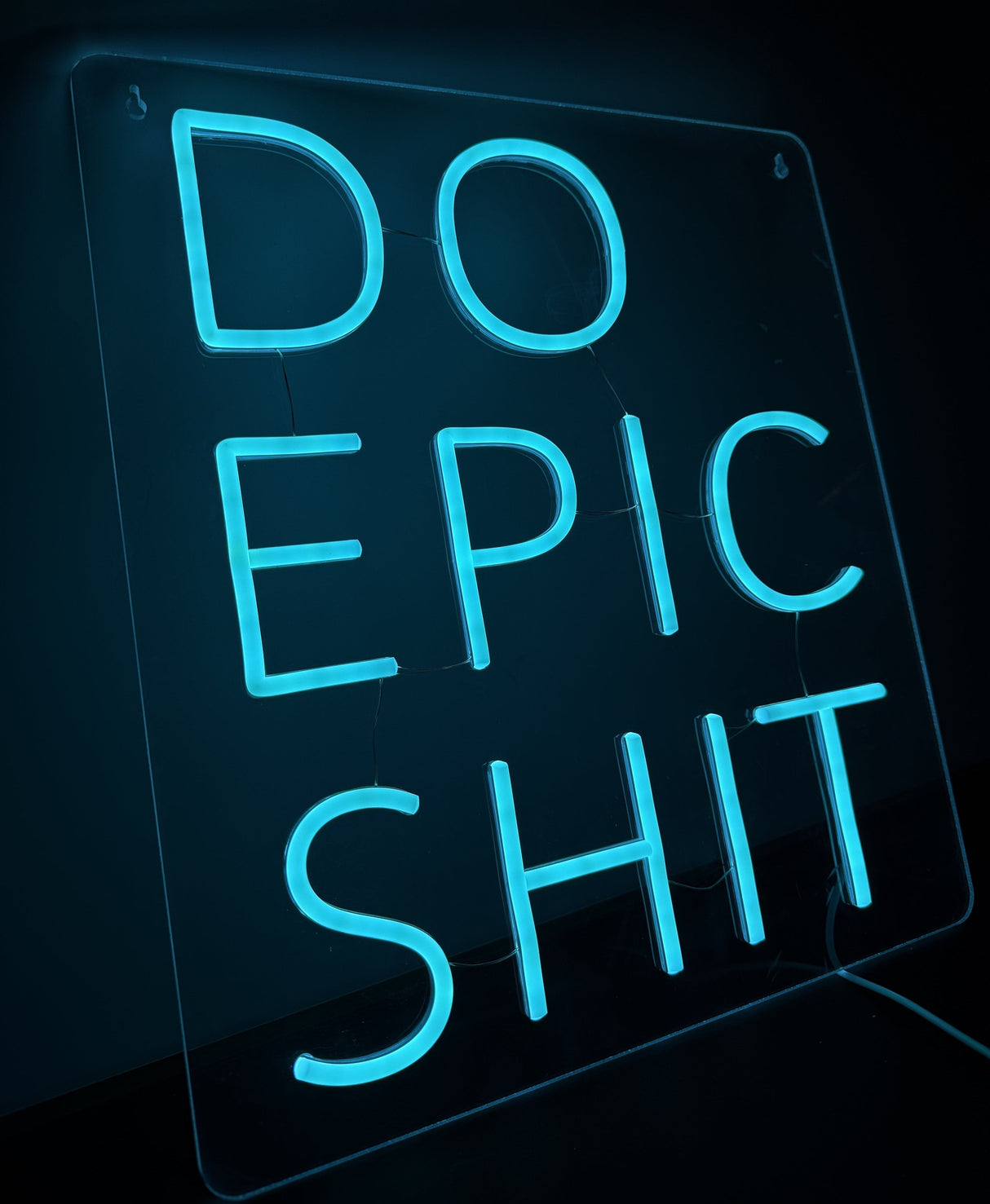 Do Epic Shit Neon Vägglampa