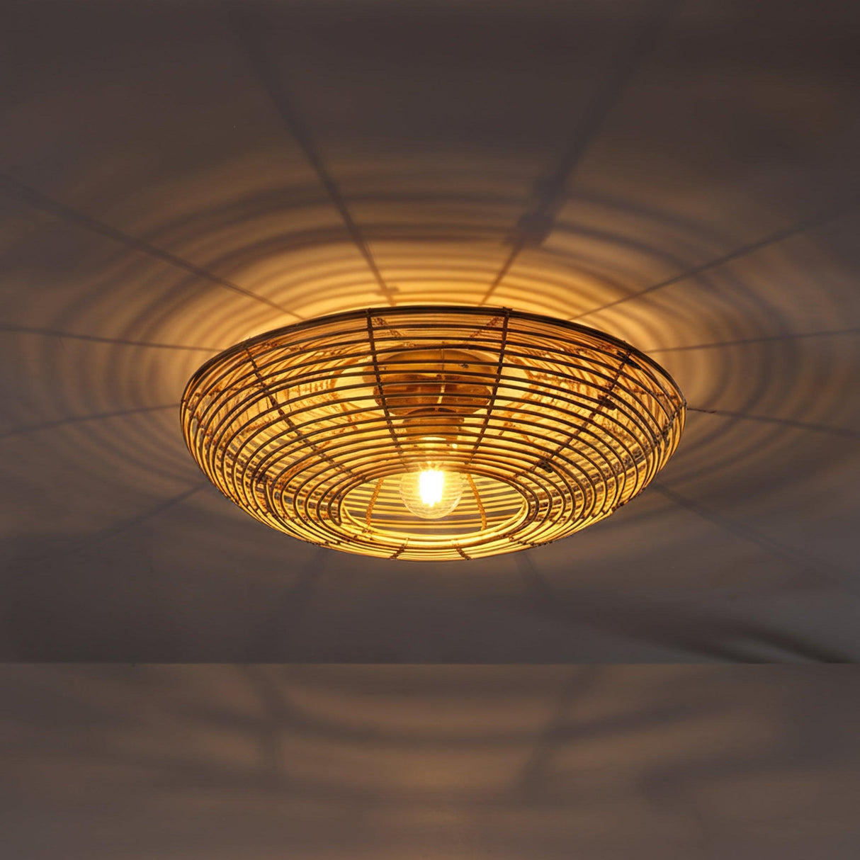 Ojo Taklampa Ø50-Lampconcept.se