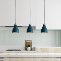 Ash Taklampa Ø16 Petroleum-Lampconcept.se