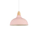 Flamingo Pink