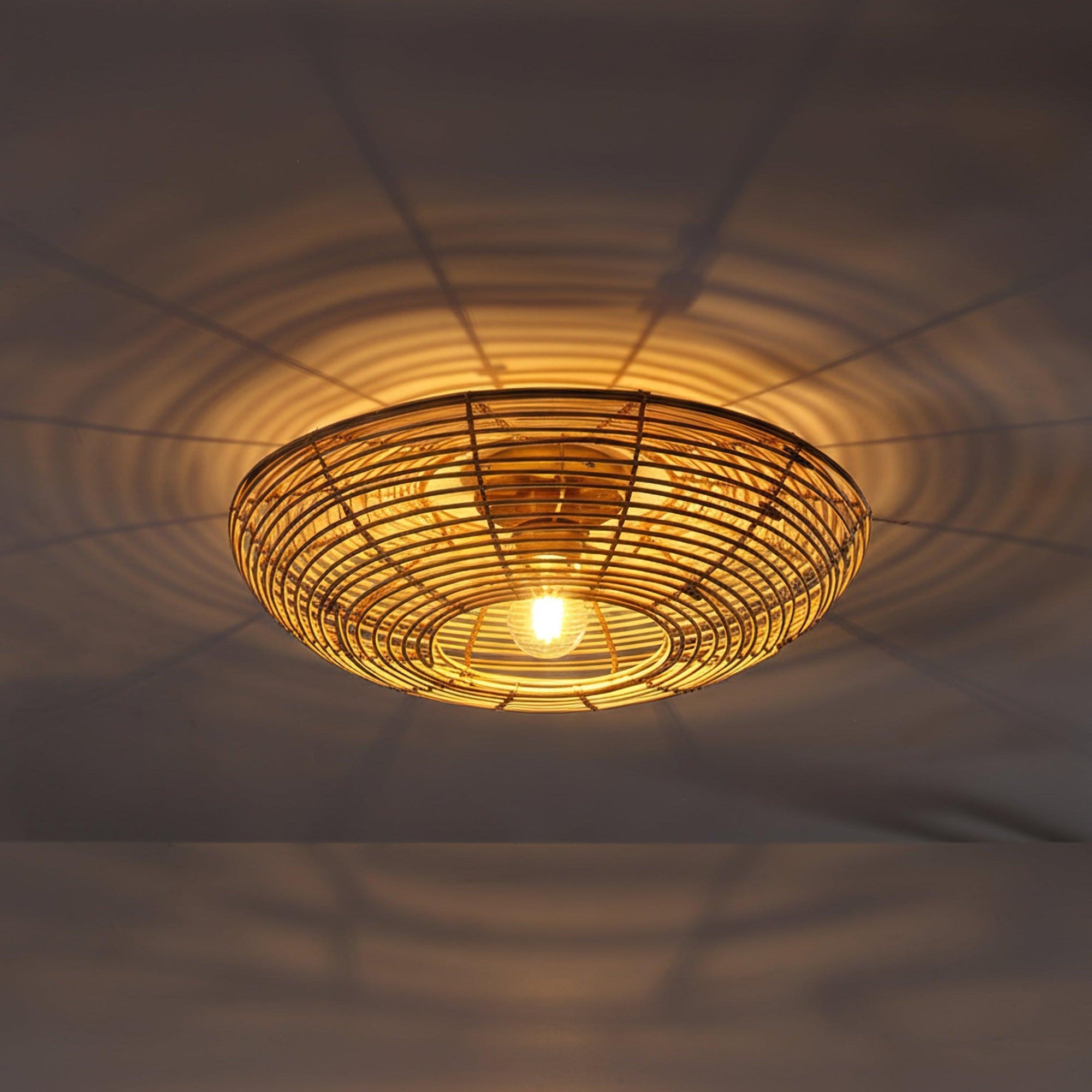 Ojo Taklampa Ø50-Lampconcept.se