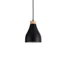 Ash Taklampa Ø16 Svart