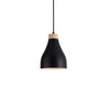 Ash Taklampa Ø16 Svart