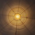 Ojo Vägglampa Ø40