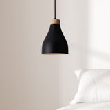Ash Taklampa Ø16 Svart-Lampconcept.se
