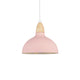 Flamingo Pink