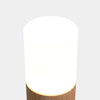 Tweak Sladdlös RGB Bordslampa Mörkt Trä