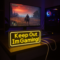 Keep Out Im Gaming Neon Vägglampa-Lampconcept.se