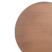Lori Vägglampa Ø20 Borstad Koppar-Lampconcept.se