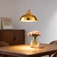 Oak Taklampa Ø35 Klar Mässing-Lampconcept.se