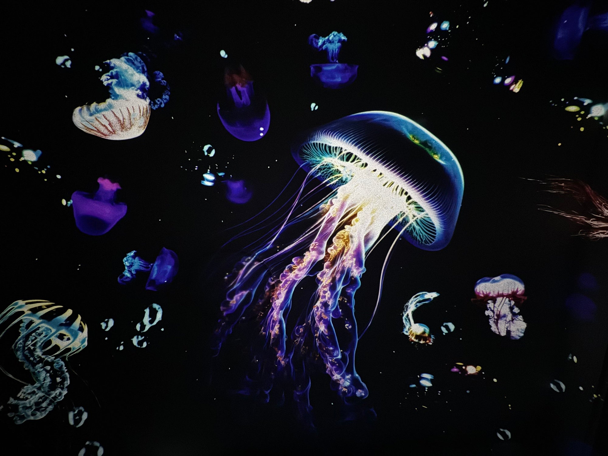 Sky LED Projector RGB-Lampconcept.se