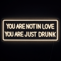 Youre Not In Love Neonskylt