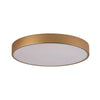 Orbital LED Plafond Ø60 Mässing-Lampconcept.se
