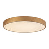 Orbital LED Plafond Ø60 Mässing-Lampconcept.se