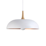 Dine Taklampa Ø50 Vit-Lampconcept.se